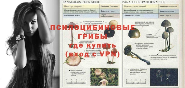 MDMA Premium VHQ Алексин