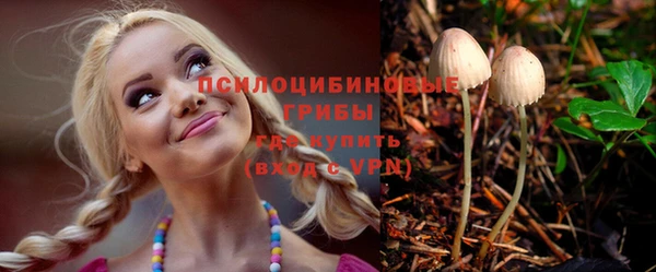 крисы Алексеевка