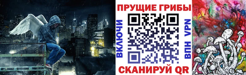 дарк нет телеграм  Белореченск  Галлюциногенные грибы прущие грибы  что такое  